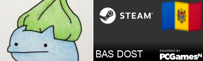 BAS DOST Steam Signature