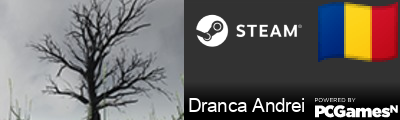 Dranca Andrei Steam Signature