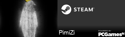 PimiZi Steam Signature