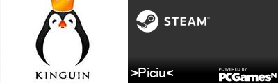>Piciu< Steam Signature
