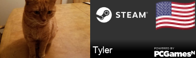 Tyler Steam Signature