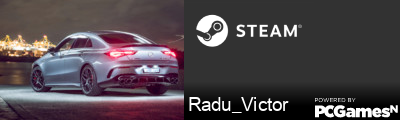 Radu_Victor Steam Signature