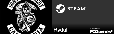 Radul Steam Signature