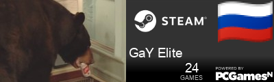 GaY Elite Steam Signature