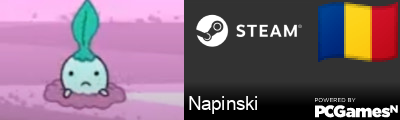 Napinski Steam Signature