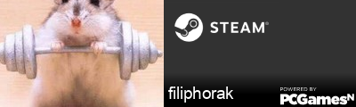 filiphorak Steam Signature