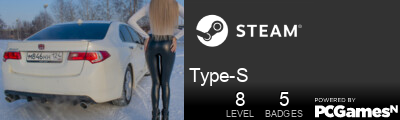 Type-S Steam Signature