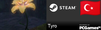 Tyro Steam Signature