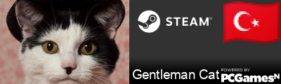 Gentleman Cat Steam Signature