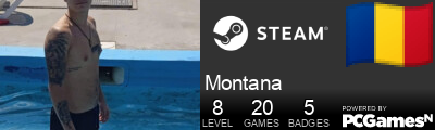 Montana Steam Signature