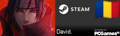 David. Steam Signature