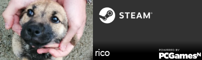 rico Steam Signature