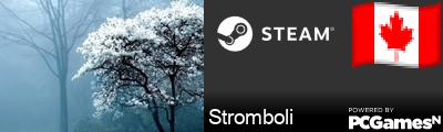 Stromboli Steam Signature