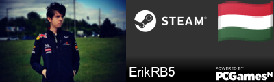 ErikRB5 Steam Signature
