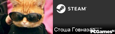 Стоша Говназад Steam Signature