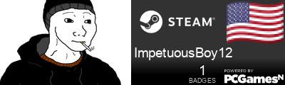 ImpetuousBoy12 Steam Signature