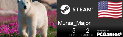 Mursa_Major Steam Signature
