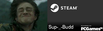 Sup-_-Budd Steam Signature