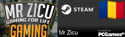 Mr Zicu Steam Signature