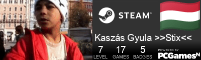 Kaszás Gyula >>Stix<< Steam Signature