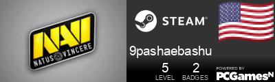 9pashaebashu Steam Signature