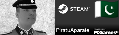 PiratuAparate Steam Signature