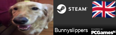 Bunnyslippers Steam Signature