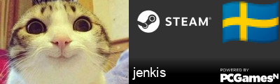 jenkis Steam Signature
