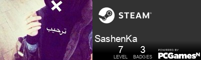 SashenKa Steam Signature
