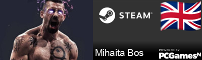 Mihaita Bos Steam Signature