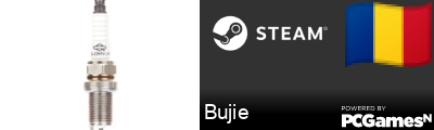 Bujie Steam Signature