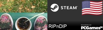 RIPnDIP Steam Signature