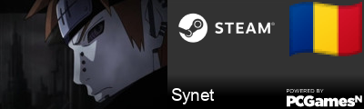 Synet Steam Signature