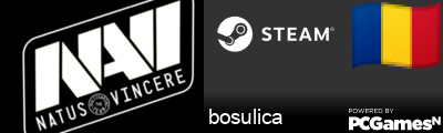 bosulica Steam Signature