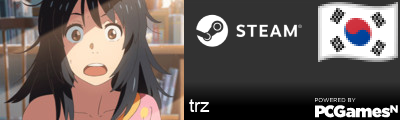 trz Steam Signature