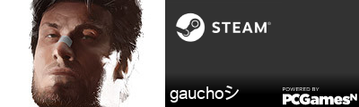 gauchoシ Steam Signature