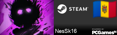 NesSk16 Steam Signature