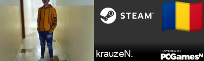 krauzeN. Steam Signature