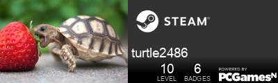 turtle2486 Steam Signature