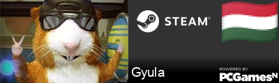 Gyula Steam Signature