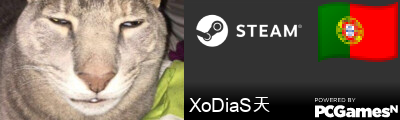XoDiaS天 Steam Signature