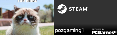 pozgaming1 Steam Signature
