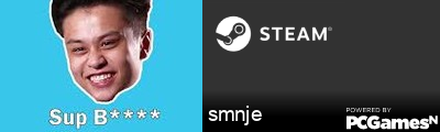 smnje Steam Signature