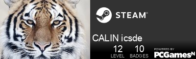 CALIN icsde Steam Signature