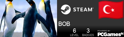 BOB Steam Signature