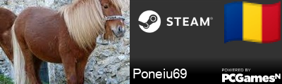 Poneiu69 Steam Signature