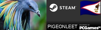 PIGEONLEET Steam Signature