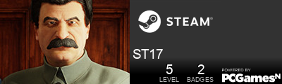 ST17 Steam Signature