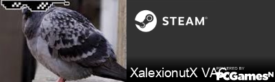 XalexionutX VAC Steam Signature