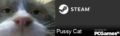 Pussy Cat Steam Signature
